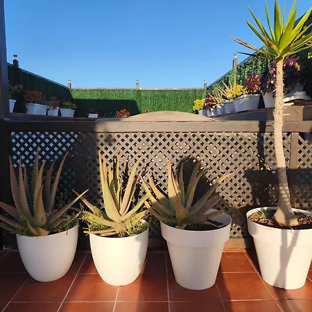 Casa Orymar El Cotillo (Fuerteventura)
